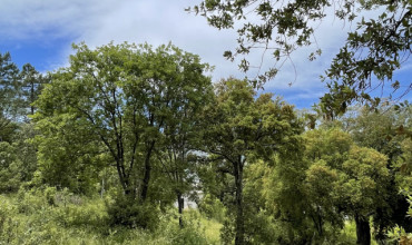 Parcelle de terrain - Corte